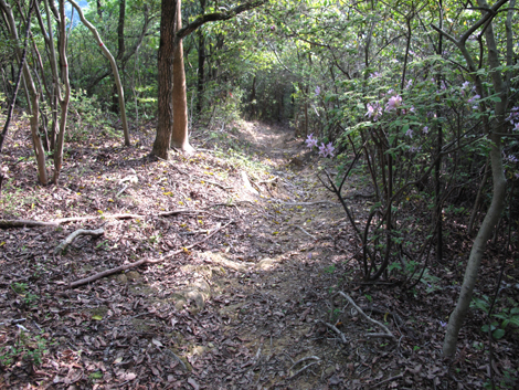 20140426hike (363)